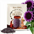 50pcs Purple Enchanting Giant Teddy Bear Sunflower Seeds – Rare Fluffy Double Blooms for Magical Garden Borders, Beds, and Bouquets