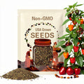 Authentic Heirloom Red Aji Cachucha Seeds