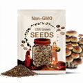5 Gourmet Mushroom Liquid Cultures - your choice