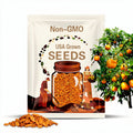 Orange Manzano Pepper Seeds - Rocoto Chile - Heirloom Capsicum Pubescens