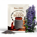 BLUE VERVAIN Seeds *Free Shipping!* Fresh & Organic Verbena hastata Seeds, Purple Outdoor Flower Seeds Bulk | Swamp Verbena Medicinal Herb