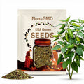 Sweet Shishito Pepper Seeds