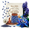 20 Blue Passion Flower Vine Seeds, Passiflora Caerulea, PF0220