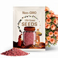 PINK and SALMON Single Massive Bloom (Portulaca Moss Rose) Seeds - Low Maintenance,Ground Cover, Attracts Pollinators,Plant in Spring/Summer