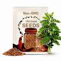 15 'Early Maturing', Northern Adapted Pigeon Pea Seeds - Cajanus cajan seeds Gandules Permaculture Florida Seed Perennial Pea Seed The Stars