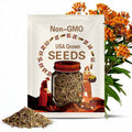 Butterfly Milkweed Seeds for Clay Asclepias tuberosa var. clay