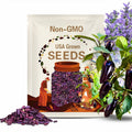 Purple Jalapeno Pepper Seeds