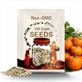 Premium Small Sugar Pie Pumpkin - Fresh, Organic, Heirloom Seed - Most Popular and Most Delicious Pie Pumpkin in the world1
