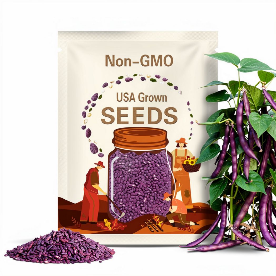 NEW! Purple Podded Pole Beans, Phaseolus Vulgaris, PV1125