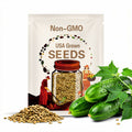 60pcs Asian Suyo Long Cucumber Seeds – Heirloom, Non-GMO China Long Hybrid – Complete Growing Guide Included