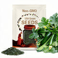 Dark Green Zucchini Squash Seeds 20 Ct Summer Vegetable Garden Heirloom NON-GMO