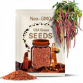 Amaranth 'Coral Fountain' seeds