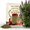10 Lumina Pumpkin Seeds. Ships free