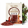 Mammoth Red Mangel Beet Seeds: 50+ Organic Heirloom Vegetable Seeds