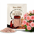 Pink & White Hydrangea Seeds: Perennial Garden Flower (25 Seeds)