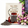 Rosa Bianca Eggplant Seeds – Heirloom, Open Pollinated, Non-GMO, Italian Classic with Tender & Sweet Flavor | 50 Seeds