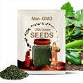 Dark Green Zucchini Seeds | Heirloom | Organic | Summer Squash
