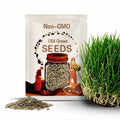 Zenith Zoysia Grass Seeds – 1000ct