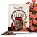 100 Magellan Salmon Zinnia Seeds, Large Coral Blooms, Easy-Grow Annual for Pollinator-Friendly Gardens