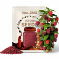 200 Raspberry Cream Globe Amaranth Gomphrena Seeds. Ships free