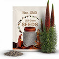 Tower of Jewels Plant (Echium Wildpretii) Seeds