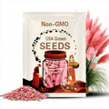 Pink Pampas Ornamental Grass (Cortaderia Selloana 'Pink') Seeds