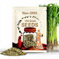20+ Ong Choy Seeds - Rau Muong La TrE - Kong Xin CAI - Water Spinach Seeds - Organic, Non GMO, 99% Germination Rate - Made in USA
