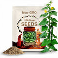 Beit Alpha Cucumber Seeds 50+ Persian Vegetable Garden NON-GMO USA