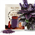 25 Purple Tip Calathea Seeds, Rare Tropical Foliage, Indoor Houseplant or Shaded Outdoor Garden