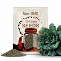 Portuguese Kale 200 Seeds, Tronchuda Beira, Open Pollinated Non GMO, Sea Kale, couve galega, Galician kale,  Beira Kale, Braganza cabbage