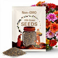 Dahlia Mix Seeds - Dahlia Mignon Mix, 55 Seeds Package, Dahlia Flower Seeds