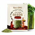 Giant Green Bamboo Seeds for Planting - 100->500 Bamboo Seeds Fast Growing