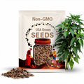 Sweet Palermo Yellow Pepper Seeds Pack - Non-GMO Organic Sweet Spicy Pepper great for gardening gift seeds, cooking!