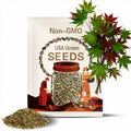 Mountain Maple Tree (Acer Spicatum) Seeds