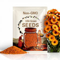 Orange Wonder Snapdragon Flower Seeds
