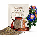 50Pcs Rare Seeds| English Blue and Yellow Rose. (#0117)