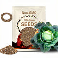 500 Cabbage Seeds - All Seasons - Organic