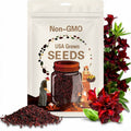 Dark Red Desert Rose Flower Perennial 4 Seeds